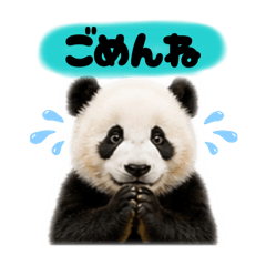 nyachi_20260428220354