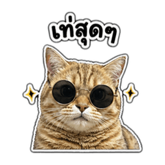 MhaiiiiiiiCAT