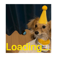 Taroro_20260428221301