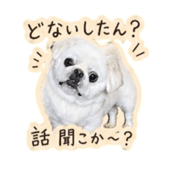 Bokuchan_20260428221523