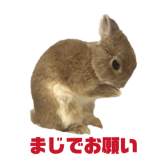 taroutyan_20260423201436