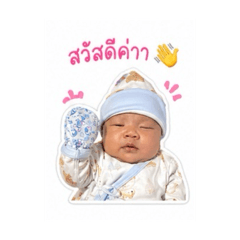 Natcha_20260427204849