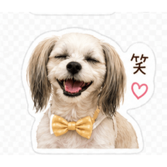 Jiun_20260428222336