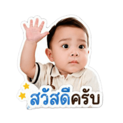 OZONE_20260427205407