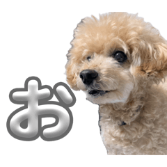 The cutest Maron stickers