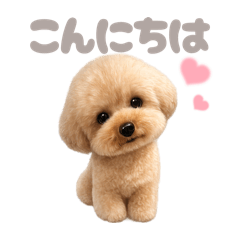 DOG STAMP ORDER_20260428223812