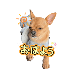 かわいいでしょーーーーー！