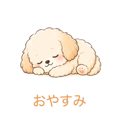 Tokotoko_20260428224932