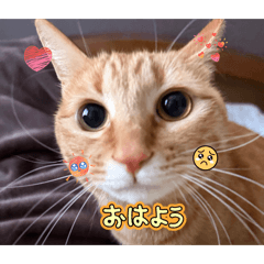 Haruka_20260423222727