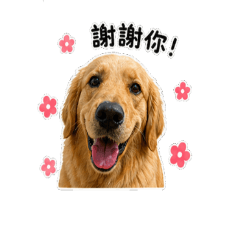 九龍冰室cash店長