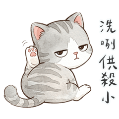 灰虎斑貓貓供殺小