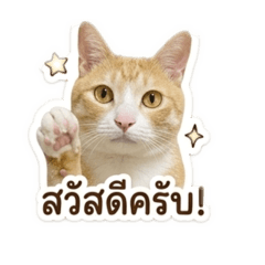 Happy in Korea_20260427230641