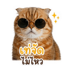 Ksryeah_20260427210934