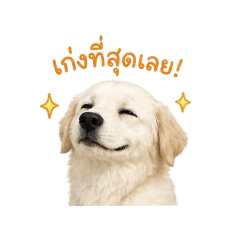 NaNon_20260427211851