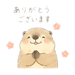 dekodekocool_20260428212504