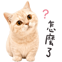 阿Q本喵❤️我的手手才沒有短短❤️