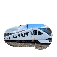 this train_20260428213639