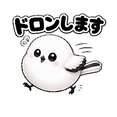 Aomimi_20260428220141