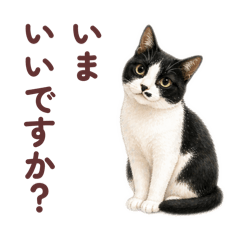 Yuzu & Anzu Polite Stickers