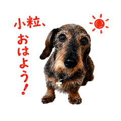 meinomei_20260428221745