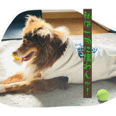 357maguna_20260423223907