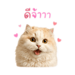 Enfant and Apollo EP.1