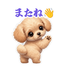 3dogs_20260424005651