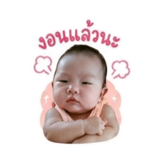 jiah01_20260427212158