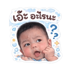 Potter na kub_20260427212359