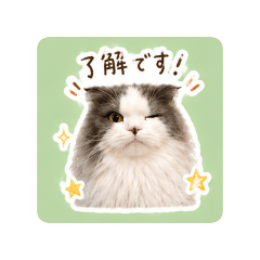 Kumi and Tororo_20260428222559