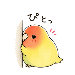 0822:NAC_Bird_20260428222427