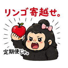 Goriko Studio_20260428222946