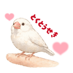 happy_20260428223556