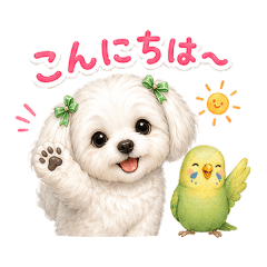 Maltese and his cheerful friends