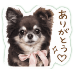 maki8_20260428225429