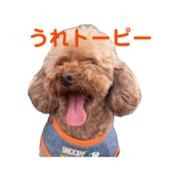 Emigon_20260428230725