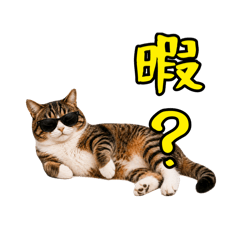 wakame_20260428230209