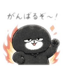 kuromame_20260428230012