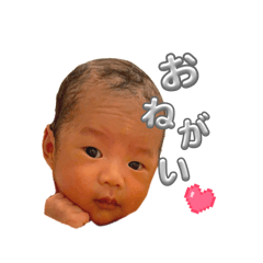 kka_20260428234233