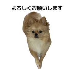 kotaro_20260428235007