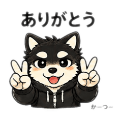 chisato_20260428233525