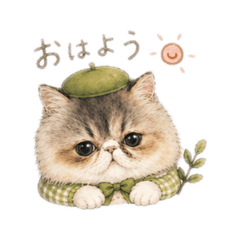 kinako_20260428234424