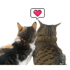 eriiiko_20260428234837