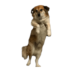 Yuffy_20260428230926