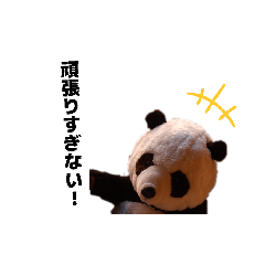 PCD100_20260424014804