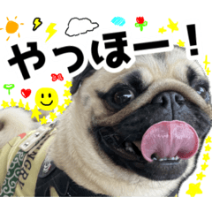 pagnogu_chandes_20260428233712