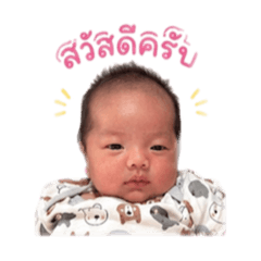 Pailu_20260427211111