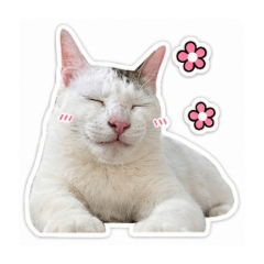animal sticker_20260427211402