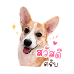 Petitink_20260427214335
