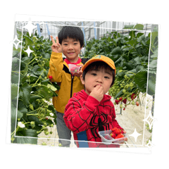 satomi_20260428231458